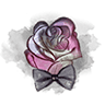Gärtnerei Blumen Steiner