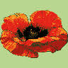 Blumenstyling Daser