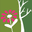 Blume & Garten Kerschdorfer Ramsau