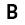 BMG Stor All