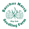 Bacchus Marsh Seedling Farm Nursery & Cafe