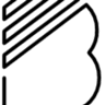 BMS electro