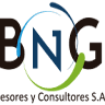 BNG Asesores y Consultores S.A.S