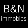 B&N IMMOBLES