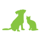 Boca Midtowne Animal Hospital