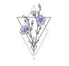 Body Renewal Massage Therapy