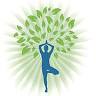 Body and Mind Physical Therapy and Wellness, LLC