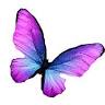 Body Mind Spirit Wellness