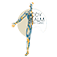 Body Realm Injury Clinic