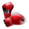Rybnik Boxing