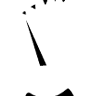 BolleHendrik