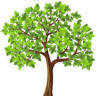 Boltz Tree Farm & Nursery