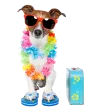 BoneVoyage Pet Resort