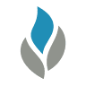 Bonfire Chiropractic