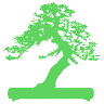 Centro de bonsai El Valle