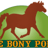 Bony Pony