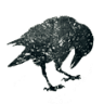 Bookseller Crow On The Hill