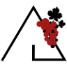 Bordeaux Châteaux - Circuits œnologiques