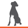 Borders Pet Rescue charity shop