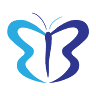 Boreal Tours
