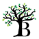 Borkuslaw Group, Ltd.