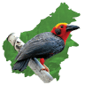Borneo Birding Tours Sdn Bhd
