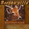 Boróka villa, apartman házak, szállás, kiadó szállás, vendégház, pihenőhely