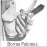Borràs Palomas S L