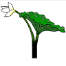BorTus Floraldesign e.U. - Meisterflorist