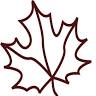 Maple Forest