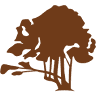 Bosque del Nahuel