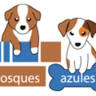 BOSQUES AZULES