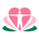Boston Health and Wellness Physical Therapy
