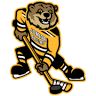 Junior Bruins Hockey