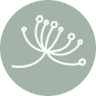 Botanica Day Spa