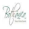 Bothanica Flores