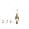Boulangerie Godefroid