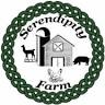 Serendipity Farm
