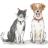 Bowbridge Veterinary Group Stonehouse