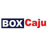 Esquadrias Alumínio e PVC - Box Caju