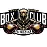 Boxclub Steinadler