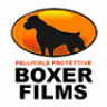 Boxer Films Di Andrea Berni