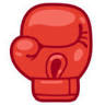 Club De Boxe St-Hyacinthe