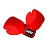 Rob Radford's Boxing 4 Fitness
