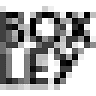 SINGULAR BRAND SL