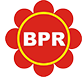 PT. BPR Intan Surya