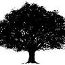 Branch Out Nursery