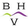 Brandon Hills Vineyard