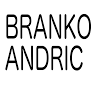 Branko Andric / Fine Artist