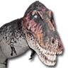 Dinosaur Museum